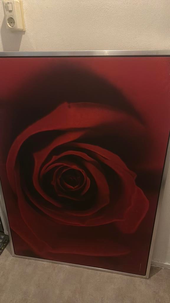 Rose schilderij, Ophalen