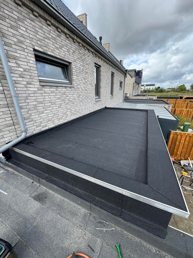 Goede betrouwbare dakdekker regio den haag/rotterdam, Diensten en Vakmensen, Dakdekkers en Rietdekkers