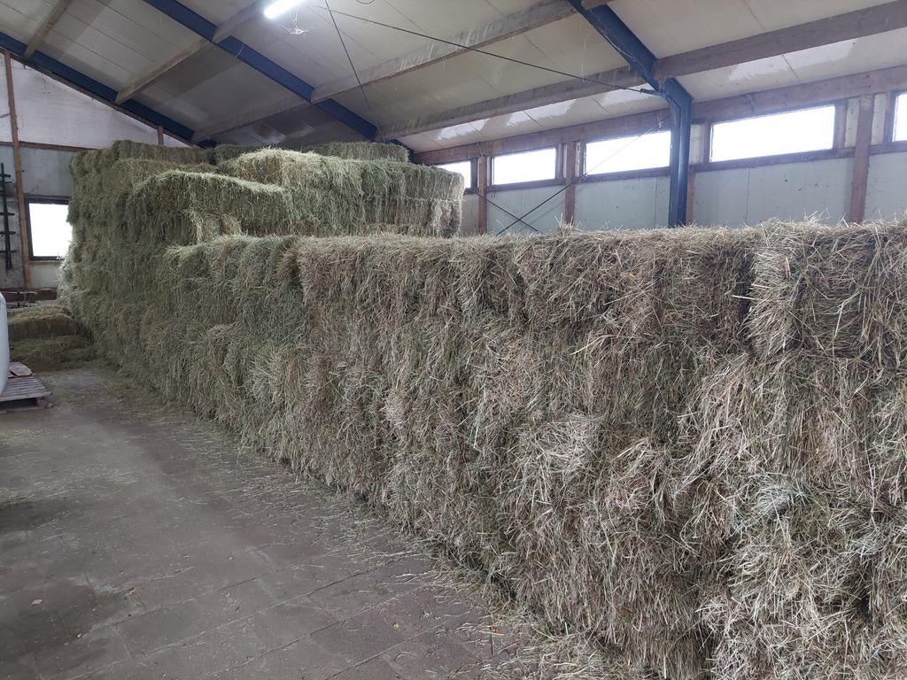 Mooi paarden hooi te koop, Dieren en Toebehoren