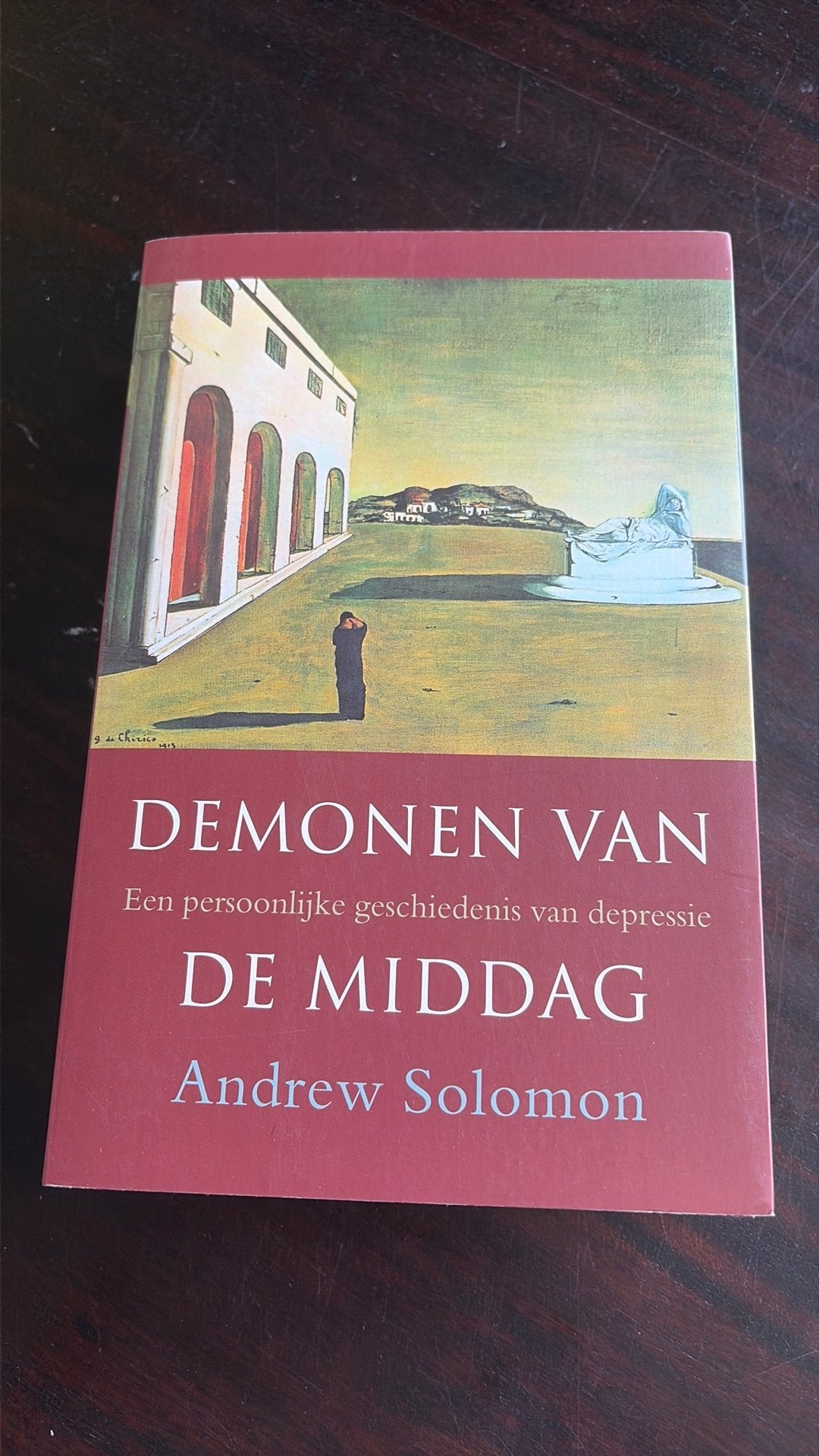 Demonen van de Middag - Andrew Solomon, Boeken, Gelezen, Andrew Solomon, Ophalen of Verzenden, Ontwikkelingspsychologie