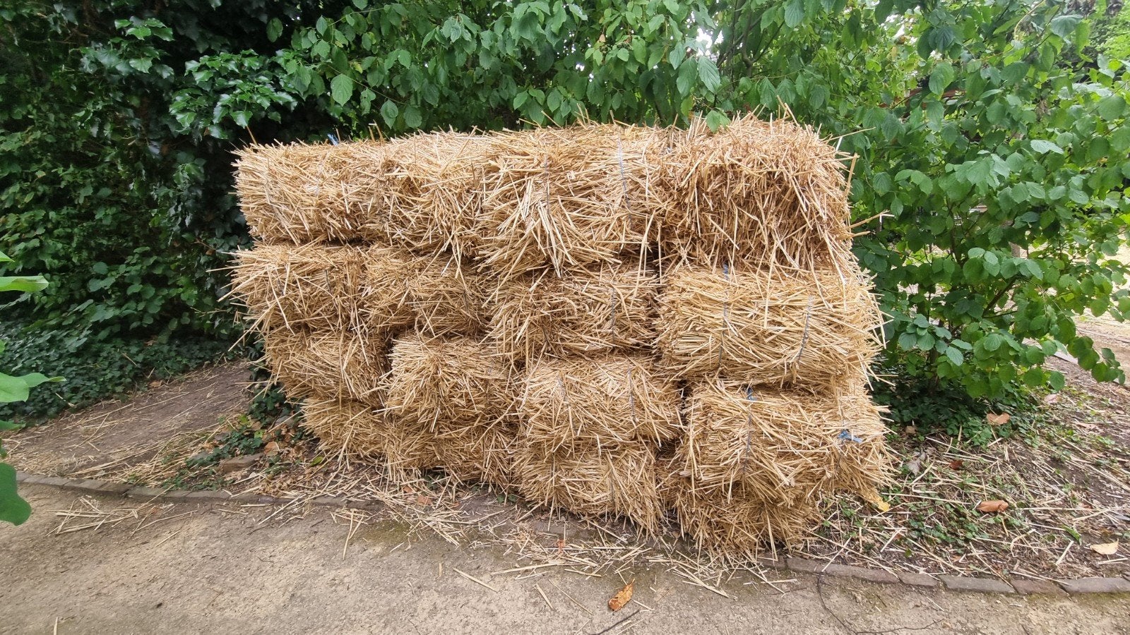 Nieuwe strobalen (16 stuks) - 80x50x35 cm, Ophalen of Verzenden