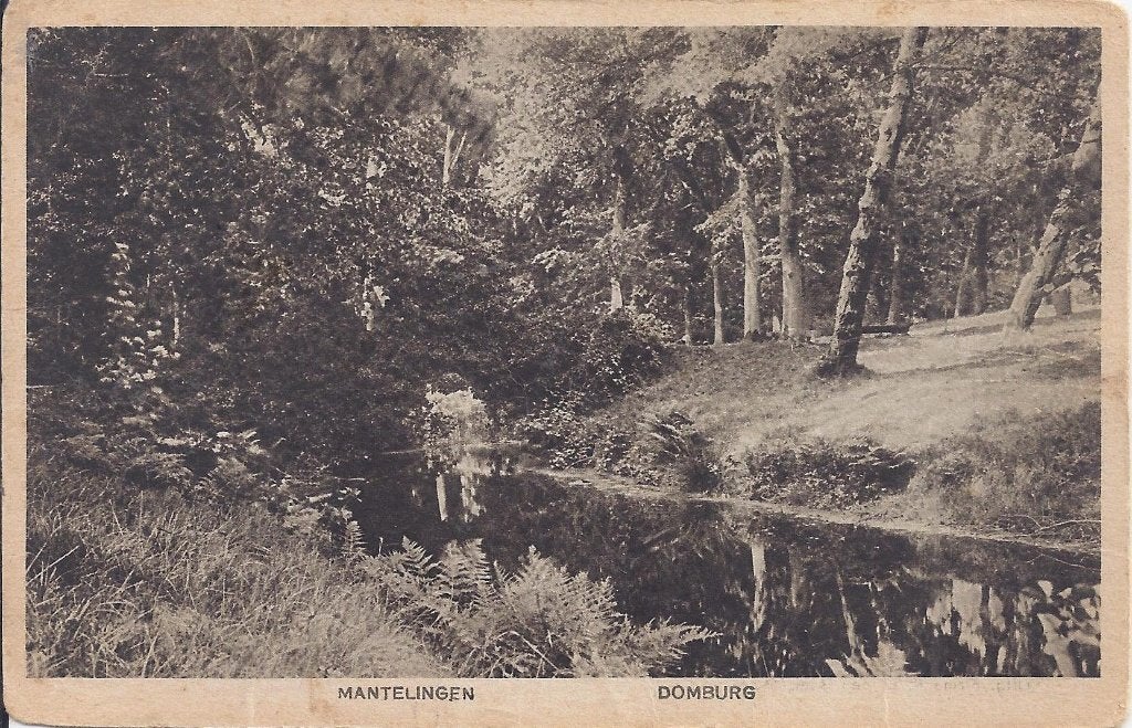Domburg Mantelingen Oude Ongelopen Ansichtkaart (P781 ), Ophalen of Verzenden, 1980 tot heden, Gelopen, Zeeland