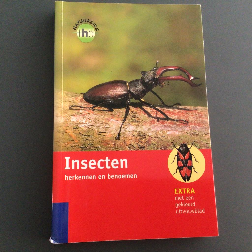 Heiko Bellmann - Insecten herkennen en benoemen, Zo goed als nieuw, Overige diersoorten, H. Bellmann, Ophalen of Verzenden
