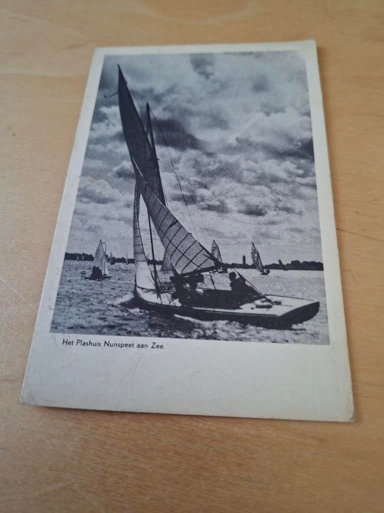Het Plashuis Nunspeet aan Zee, Ophalen of Verzenden, Voor 1920, Gelopen, Gelderland