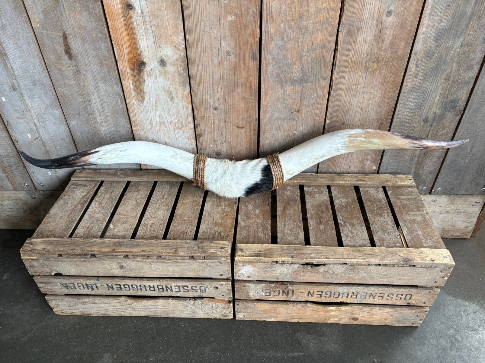Mooie stoere Bullbar! (4), Ophalen, Nieuw, Overige soorten, Overige typen