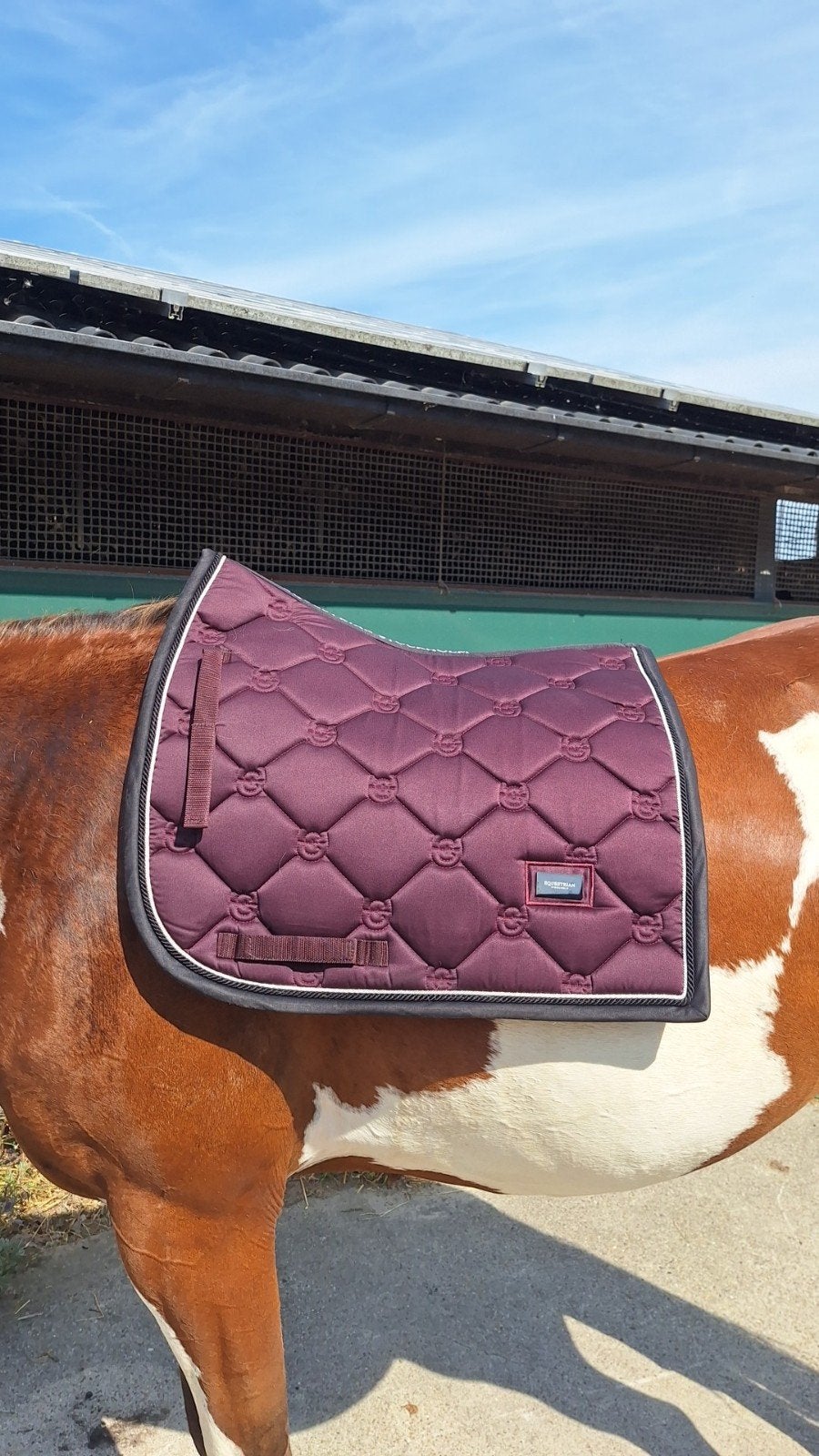 Equestrian Stockholm Black Raven, Full (L), Dressuurdekje, Equestrian Stockholm, Ophalen of Verzenden