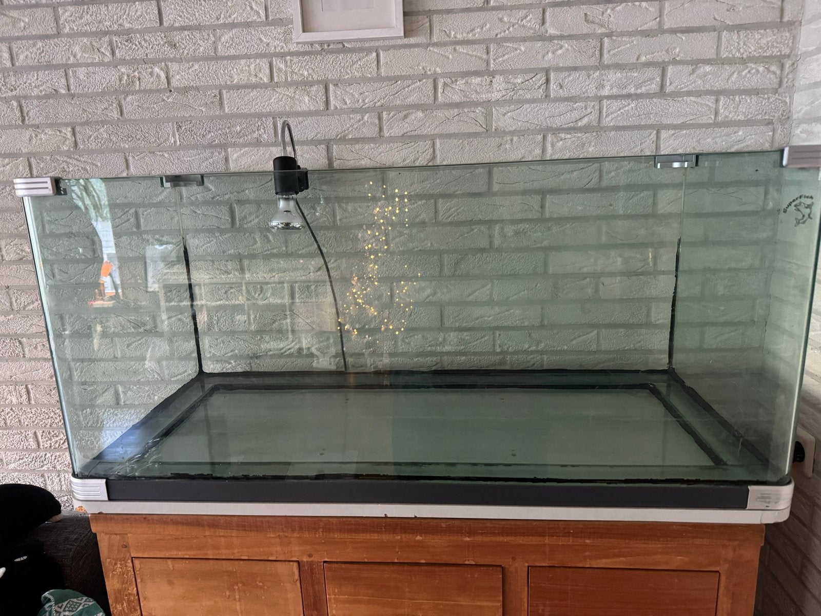 Aquarium voor schildpadden, Dieren en Toebehoren, Vissen | Aquaria en Toebehoren, Ophalen, Leeg aquarium