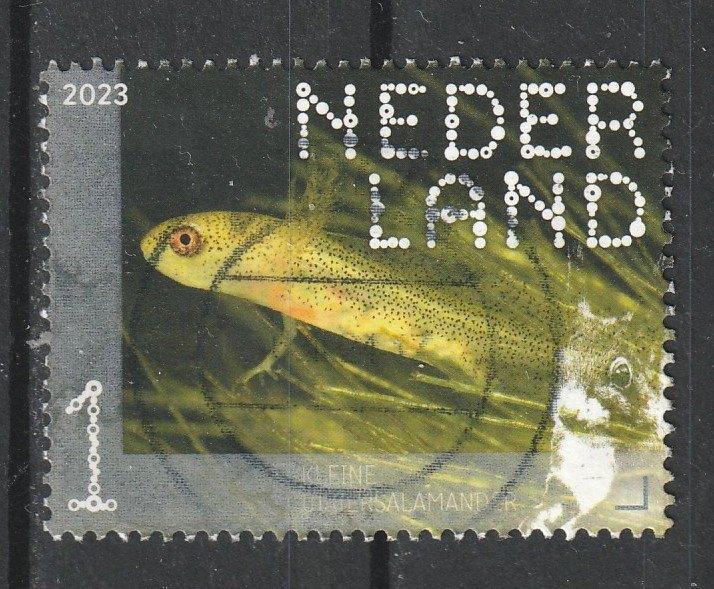 167 N beleef de natuur 2023 kleine Salamander, Verzenden, Na 1940, Gestempeld