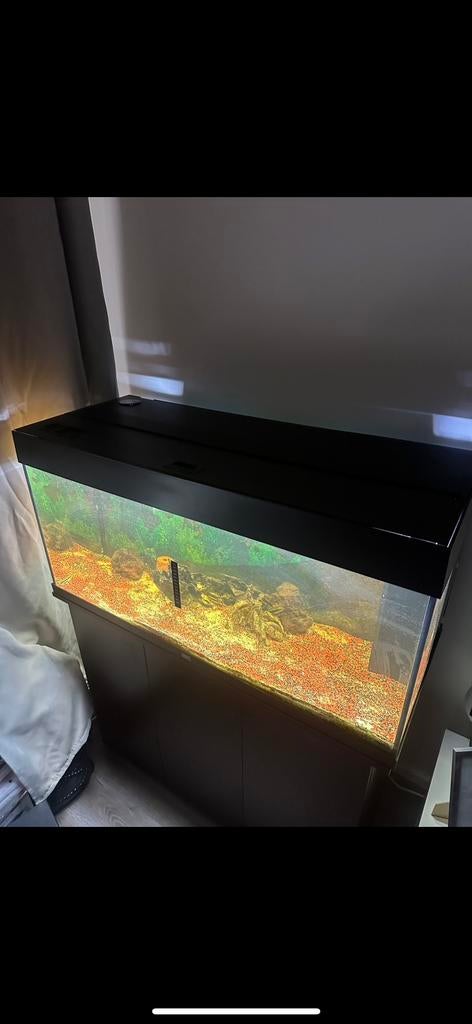 Juwel Aquarium Rio 180L incl. onderkast LED zwart, Ophalen, Zo goed als nieuw, Leeg aquarium