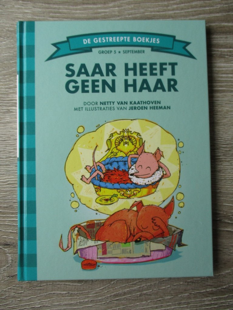 Saar heeft geen haar - Netty van Kaathoven, Ophalen of Verzenden, Gelezen, Fictie algemeen