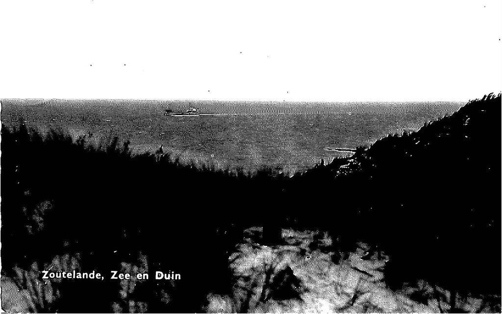 377-169-015 Zoutelande Zee en Duin, Verzenden, Voor 1920, Zeeland