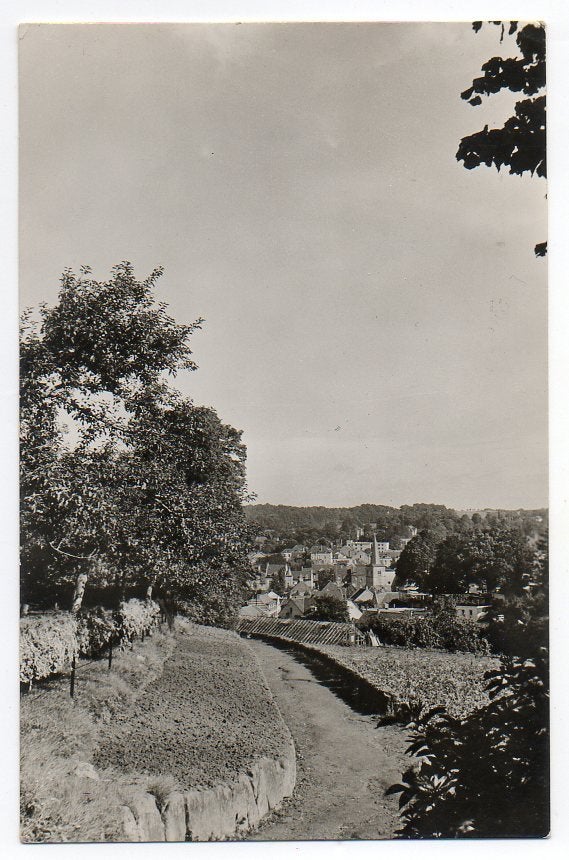 Valkenburg Scholastikaat Tuin met panorama Valkenburg 1956, Ophalen of Verzenden, 1940 tot 1960, Gelopen, Limburg