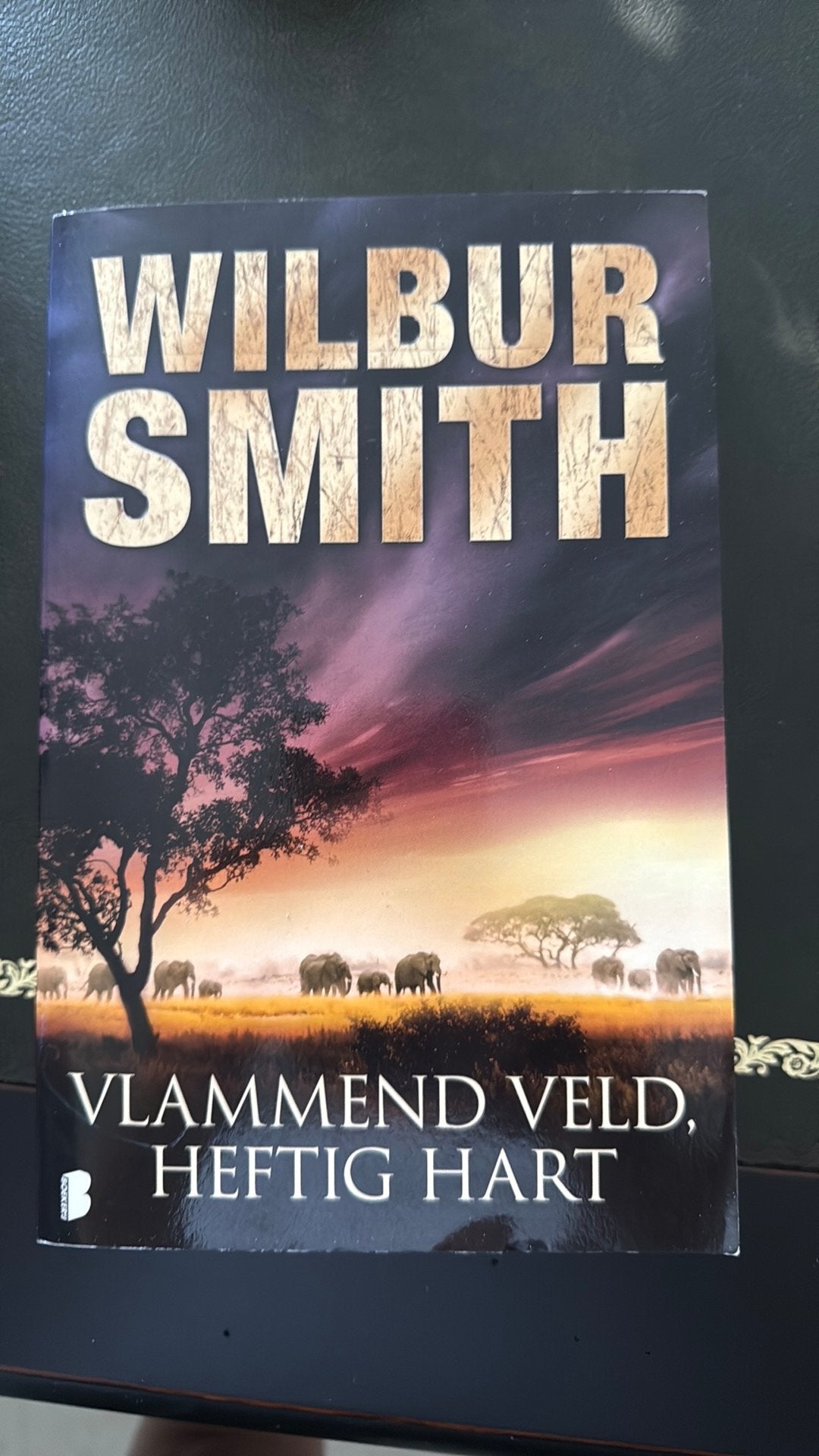 Vlammend veld, heftig hart, Ophalen of Verzenden, Nieuw