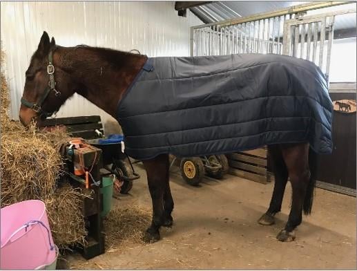 Diverse paardendekens, Ophalen of Verzenden, Zo goed als nieuw, Deken