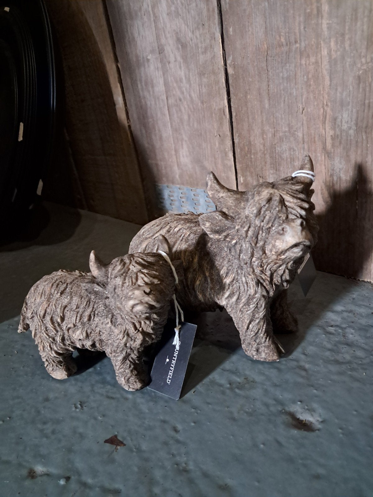 Hooglanders staand 
• €9,99 p.s.
• €14,99 p.s., Verzamelen, Ophalen of Verzenden, Nieuw, Dier