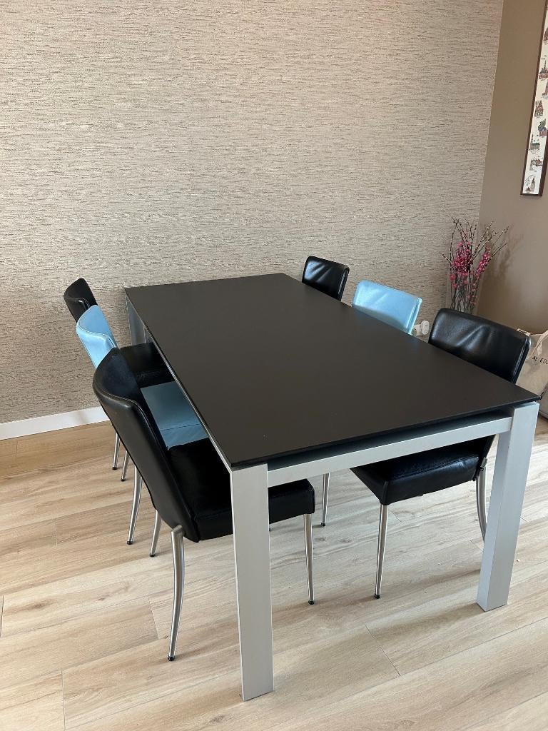 Eettafel (eetkamertafel) met 6 Topform stoelen, Gebruikt, 50 tot 100 cm, Vijf personen of meer, 150 tot 200 cm