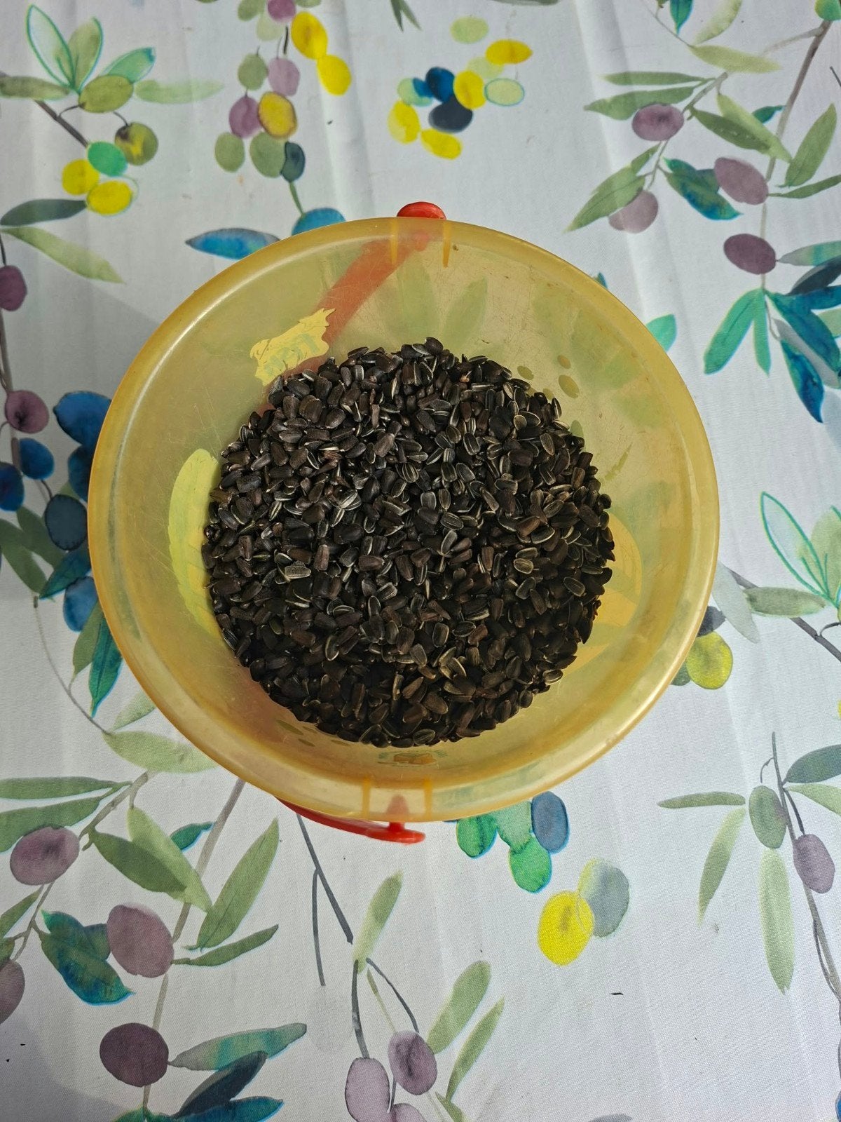 ongeveer 1 kilo zonnebloempitten. Gratis op te halen.
