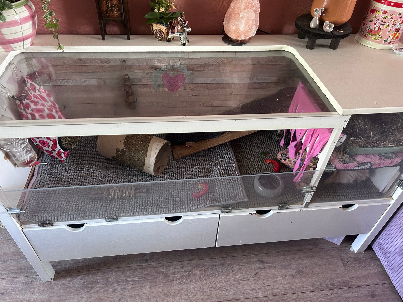 Cavia kooi, Ophalen, 90 cm of meer, Hok, Cavia