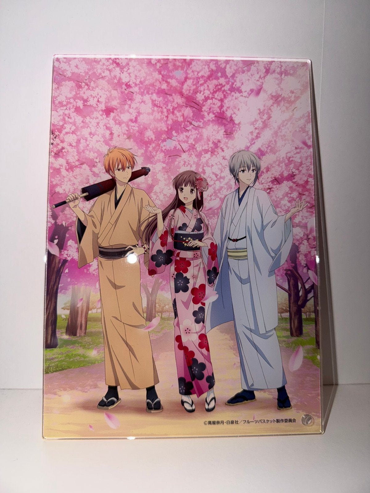 Fruits Basket Acrylic Panel, Ophalen of Verzenden