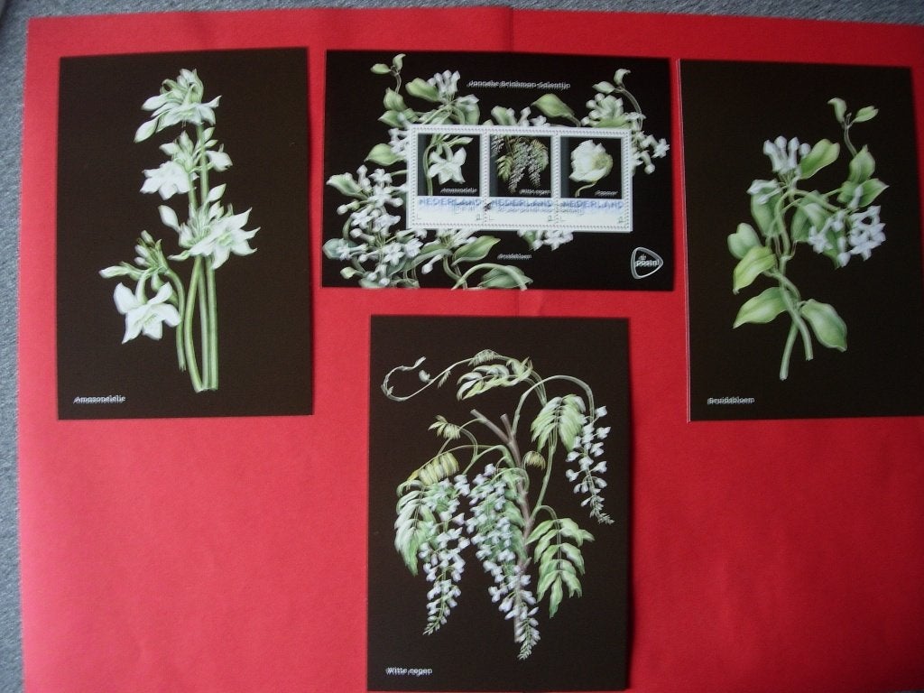 NL 2017 Postset 25 jaar passie voor bloemen: Bruidsbloem, Verzenden, Na 1940, Postfris