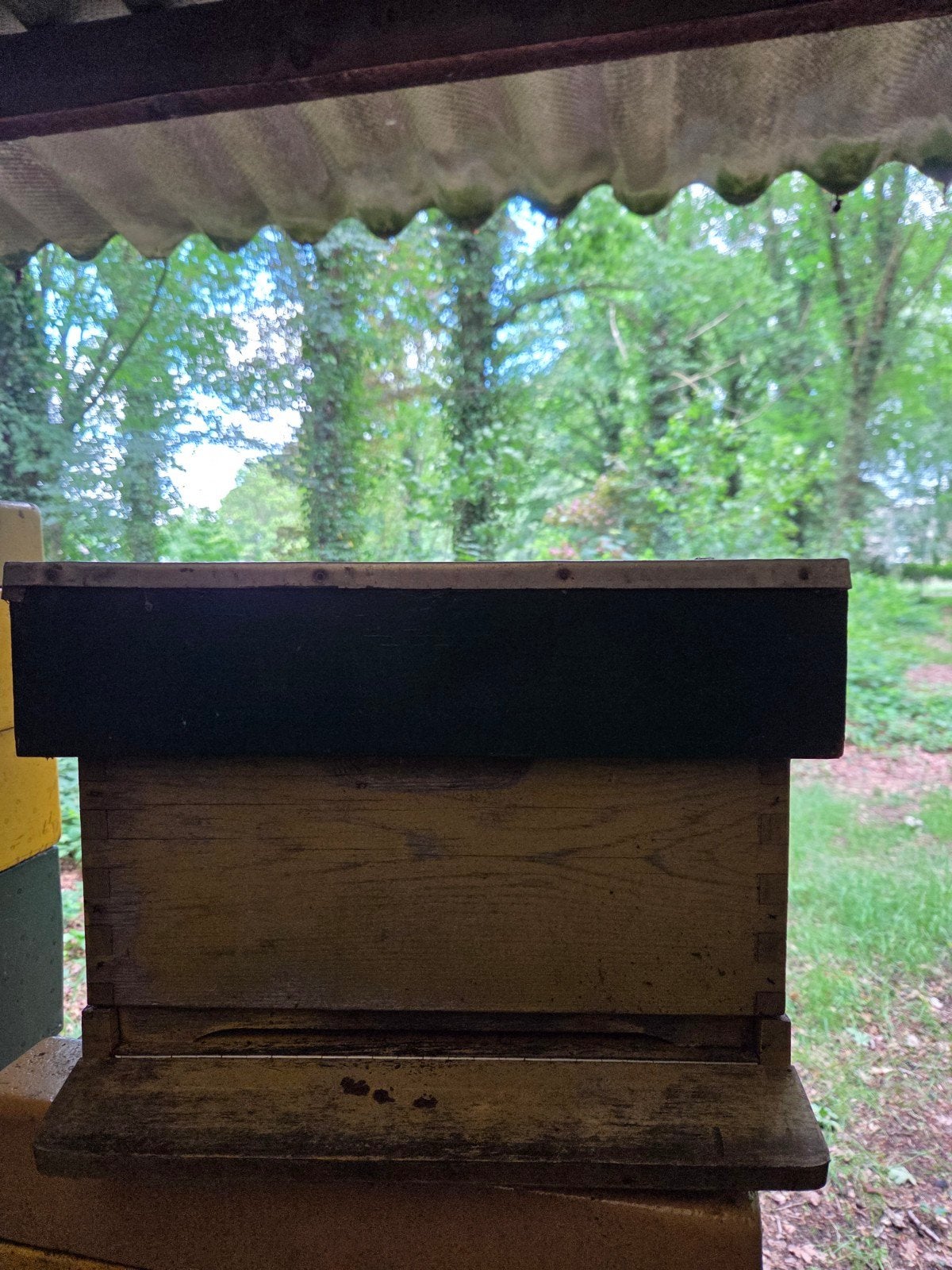 TE KOOP BIJENKAST 10 RAAMS, Dieren en Toebehoren, Insecten en Spinnen, Bijen