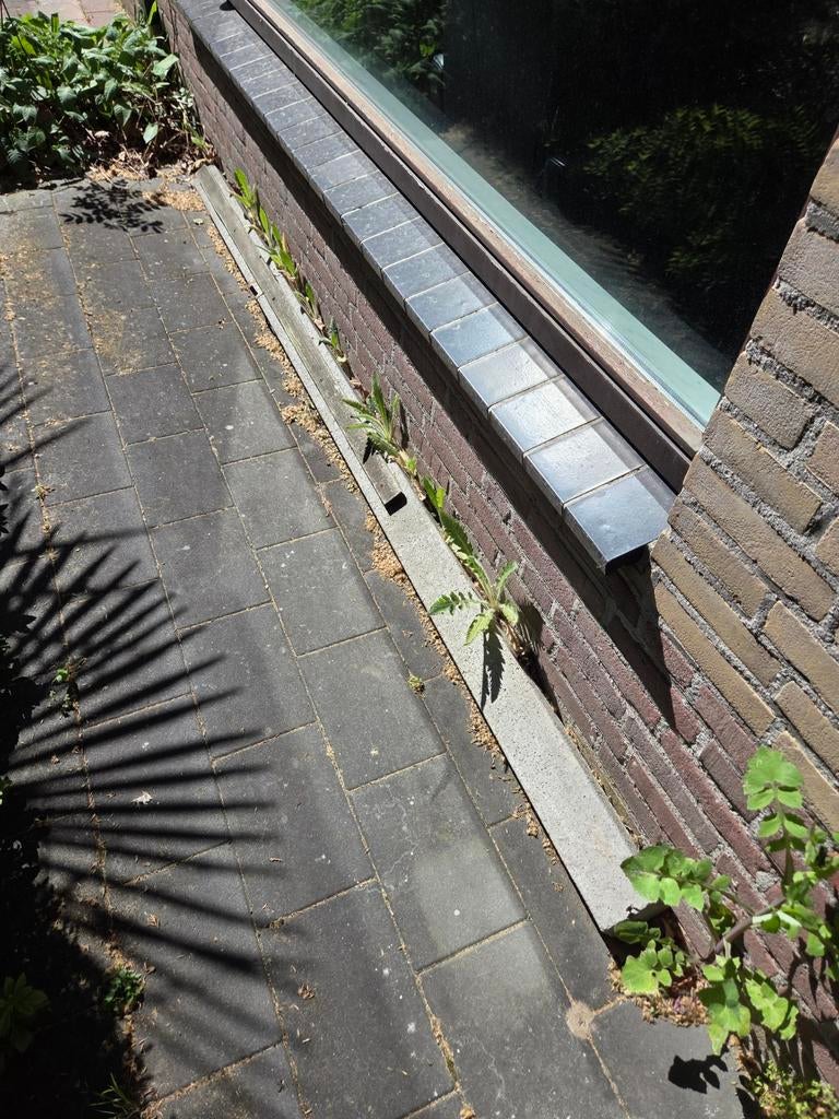 beton paal, Tuin en Terras, Minder dan 150 cm, Ophalen, Knikarmscherm
