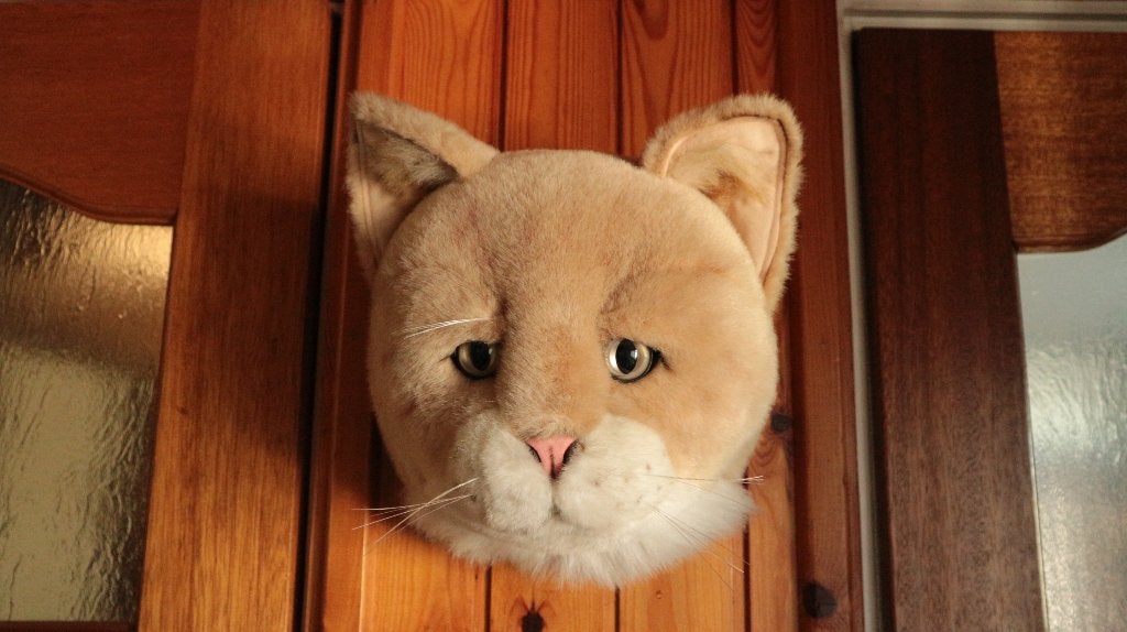 Bibib dierenkop kinderkamer decoratie kat / poes  knuffel, Ophalen of Verzenden, Nieuw, Kat