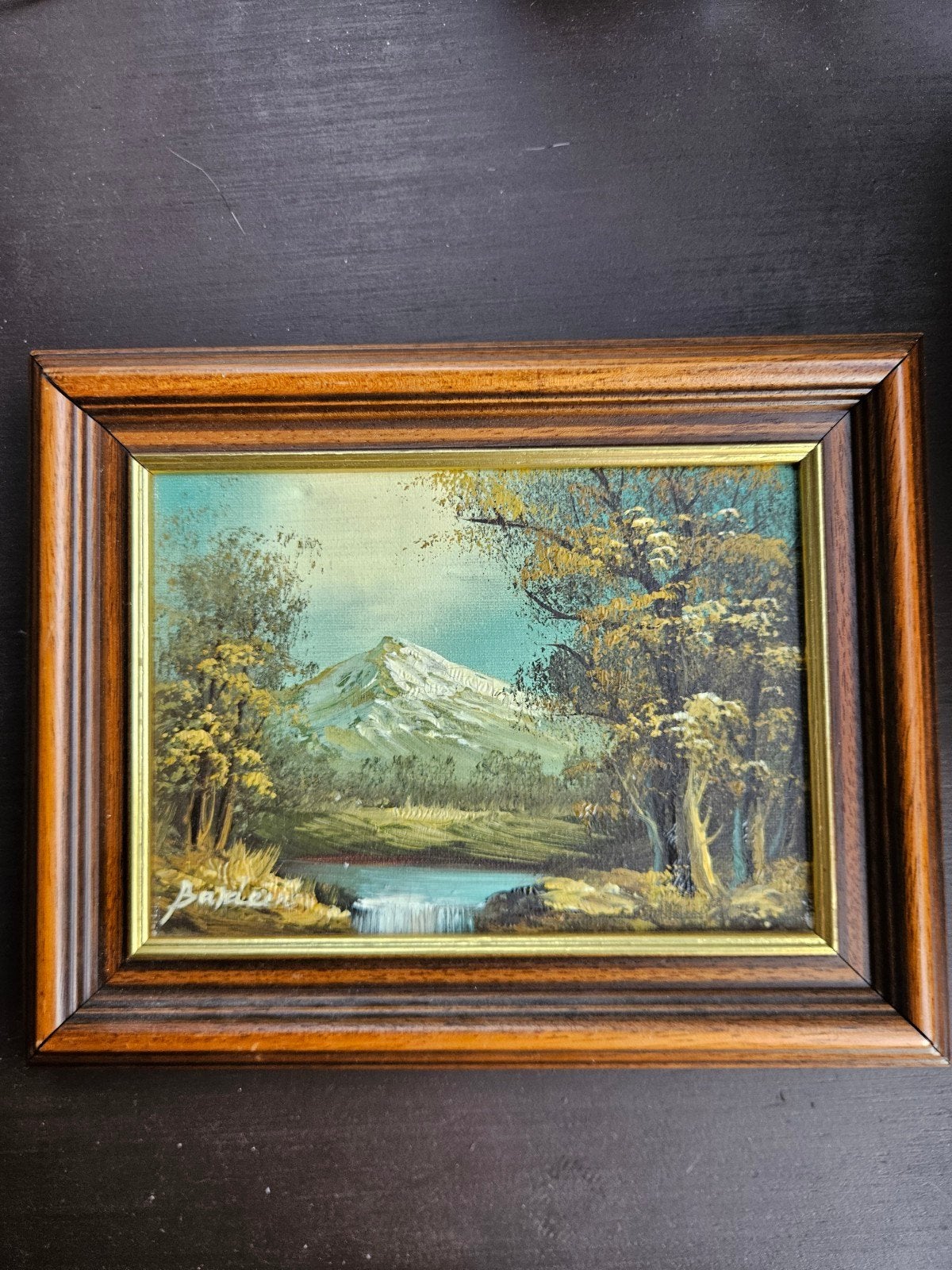 Schilderijtje van berglandschap, Doek, Realistisch, Ophalen of Verzenden, Landschap