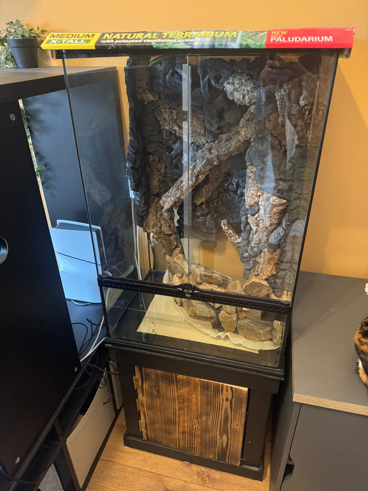 Paludarium project, Ophalen, Nieuw, Terrarium of Paludarium