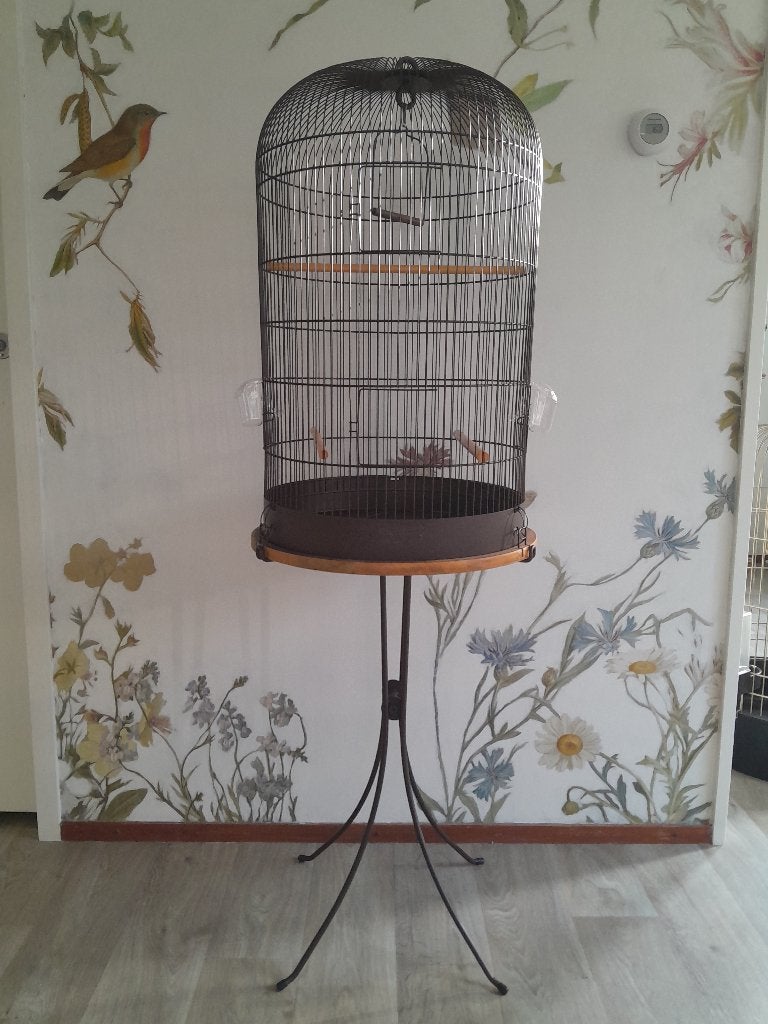 Zolux retro vogelkooi Marthe incl standaard, Ophalen, Nieuw, Metaal, Vogelkooi