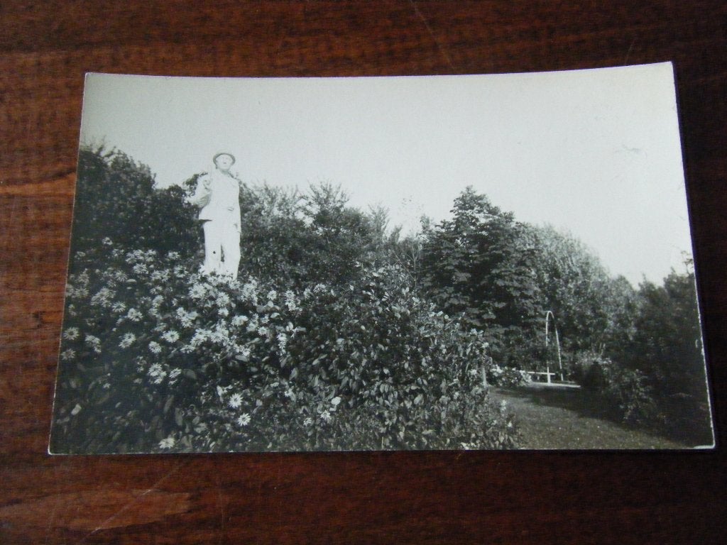 D91 - FOTOKAART - Beeld - Mooi/Oud, Ophalen of Verzenden, 1940 tot 1960, Zuid-Holland