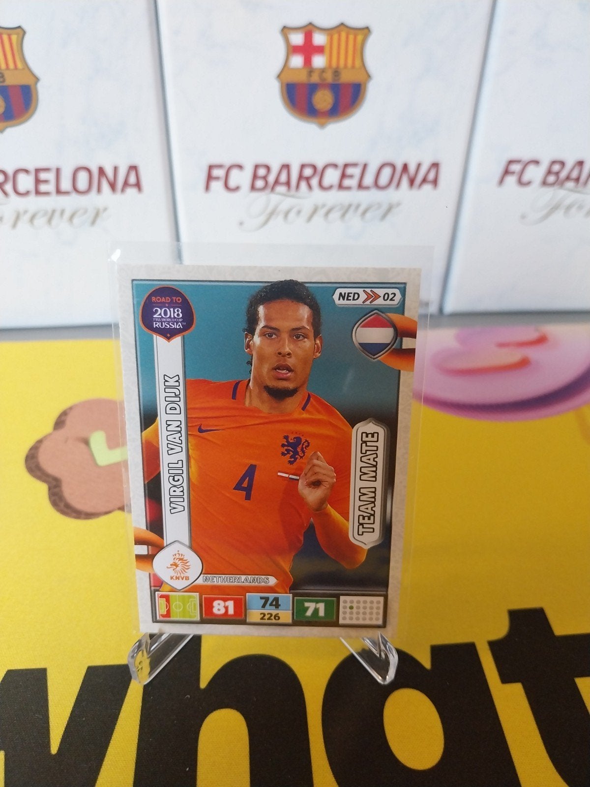 Virgil van Dijk Road to Russia 2018, Ophalen of Verzenden, Zo goed als nieuw, Overige binnenlandse clubs, Poster, Plaatje of Sticker