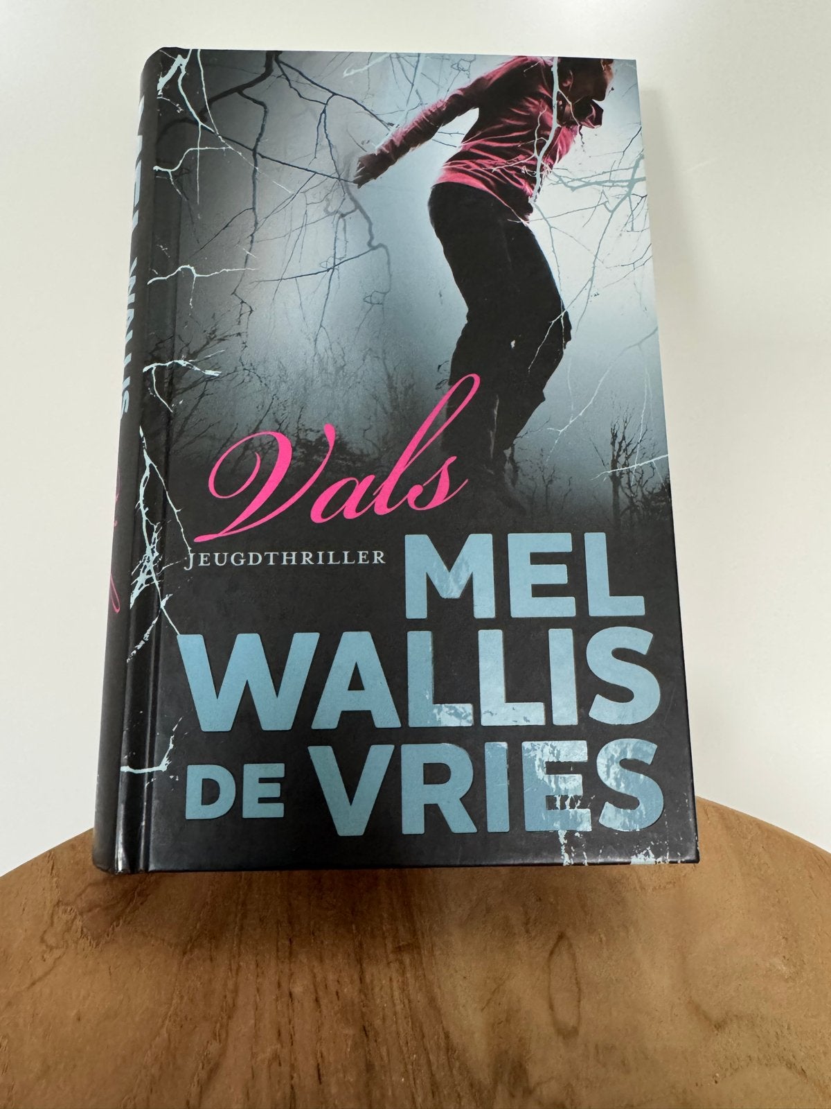 Vals - Jeugdthriller van Mel Wallis de Vries, Boeken, Ophalen of Verzenden, Zo goed als nieuw, Nederland