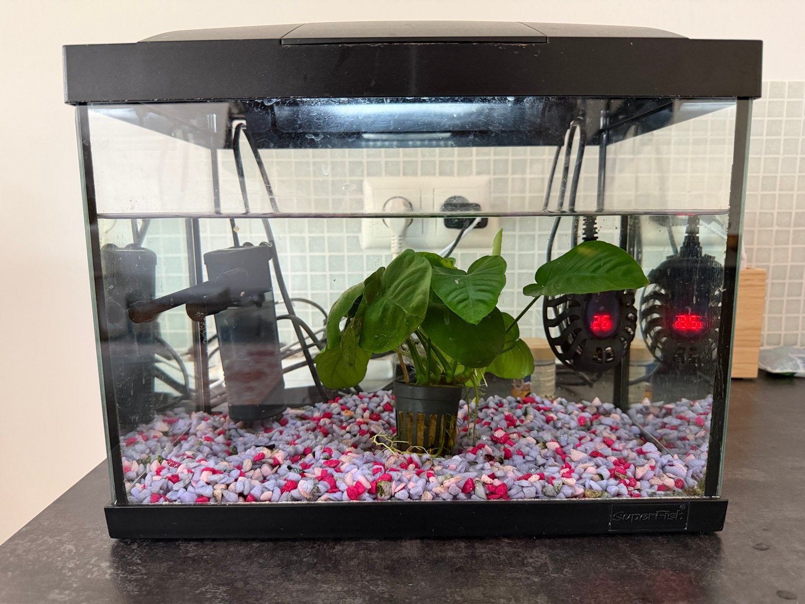 Aquarium Superfish (20 liter), Dieren en Toebehoren, Vissen | Aquaria en Toebehoren, Ophalen, Gebruikt, Leeg aquarium, Superfish