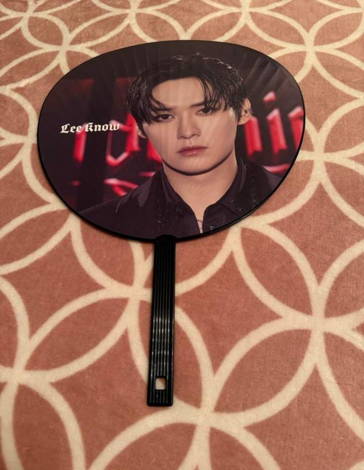 Stray Kids Dominate World Tour Lee know image picket, Ophalen of Verzenden, Zo goed als nieuw, Foto of Kaart