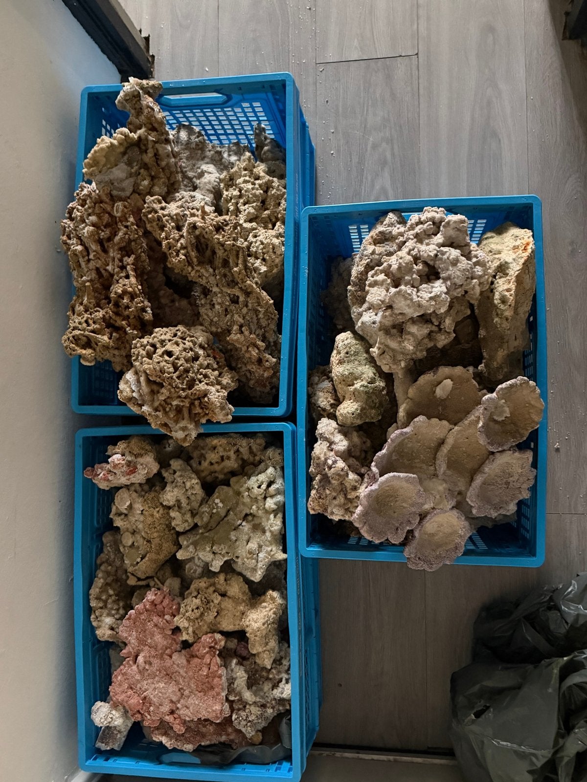 Steen voor een zeeaquarium., Ophalen, Gebruikt, Gevuld zeewateraquarium, Overige merken