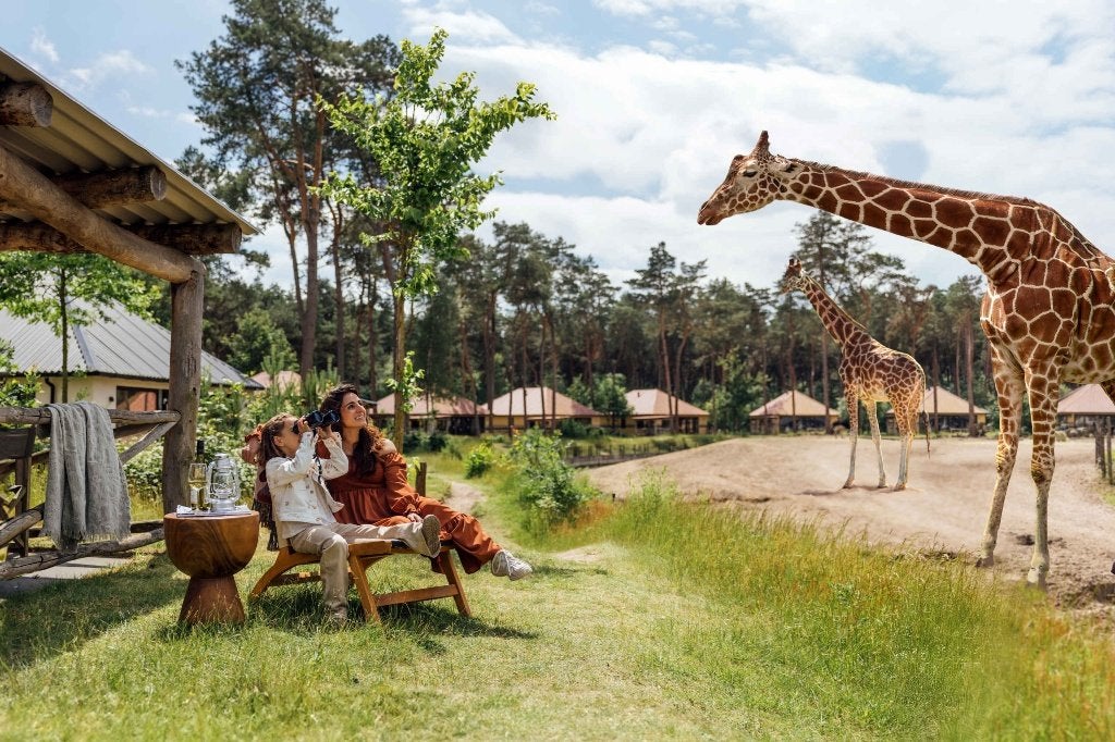 8x toegang beekse bergen dierendag 4 oktober, Ophalen of Verzenden, Nieuw