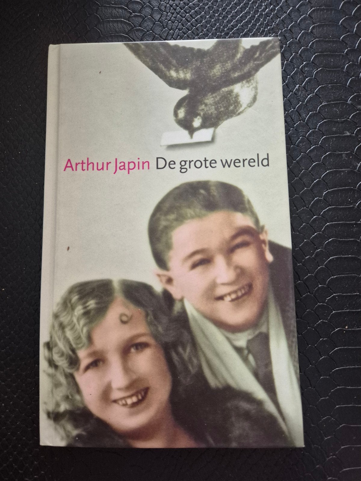 Arthur Japin - De grote wereld, Boeken, Literatuur, Ophalen of Verzenden, Zo goed als nieuw, Arthur Japin