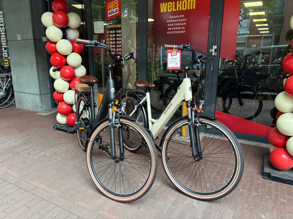 Foto 2 van Fietshokje Raaks: Raaks Eton Elektrische damesfiets 3V