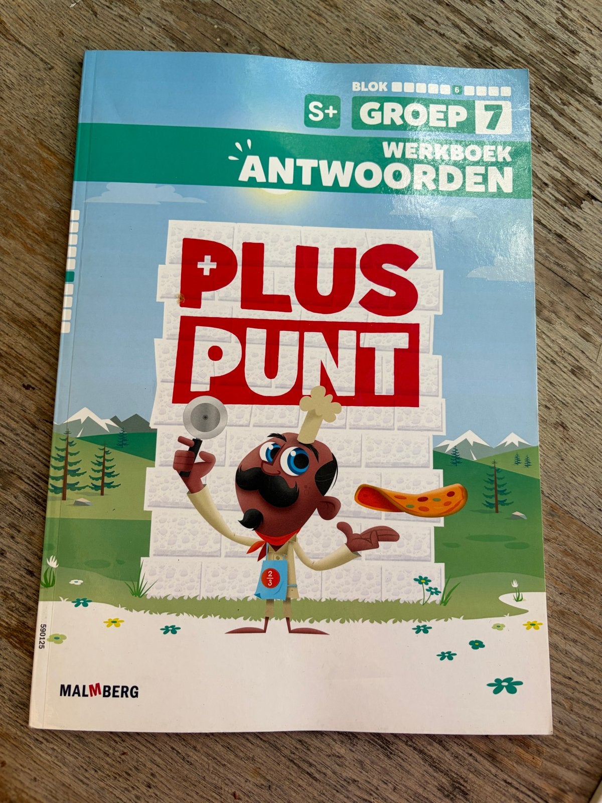 Pluspunt Antwoordenboek Groep 7 S+ Blok 6, Ophalen of Verzenden, Gelezen, Overige niveaus, Overige vakken