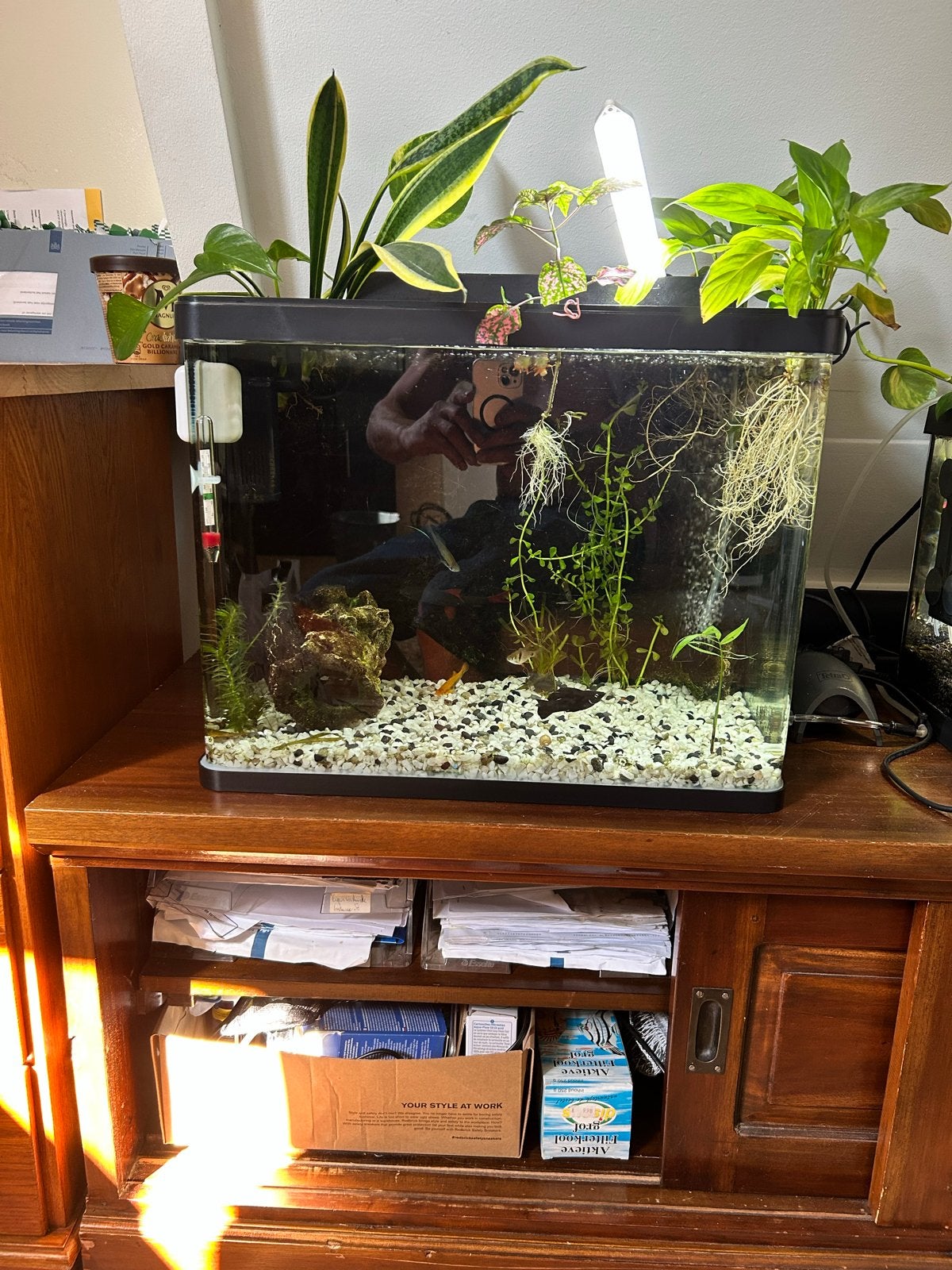 Complete Aquarium Hs Aqua, HS Aqua, Ophalen of Verzenden, Zo goed als nieuw, Leeg aquarium
