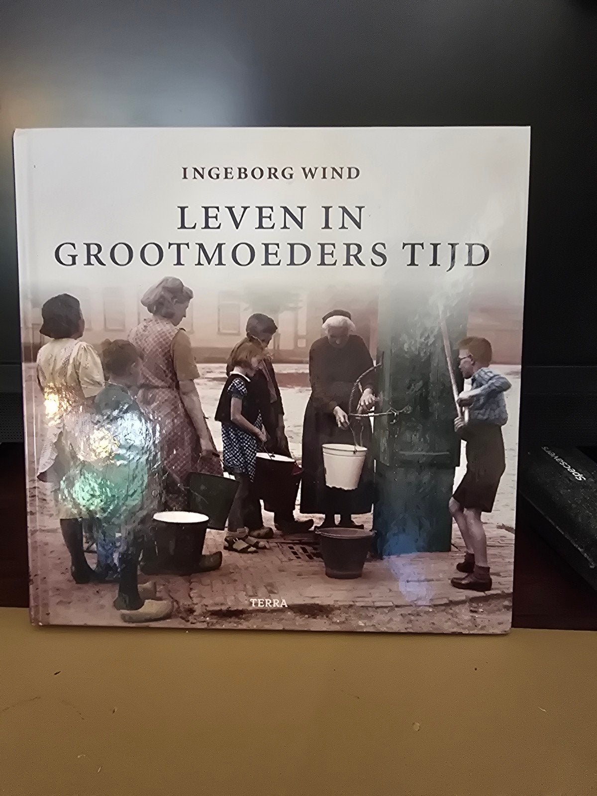 Leven in Grootmoeders Tijd - Ingeborg Wind, Boeken, 20e eeuw of later, Europa, Ophalen of Verzenden, Zo goed als nieuw