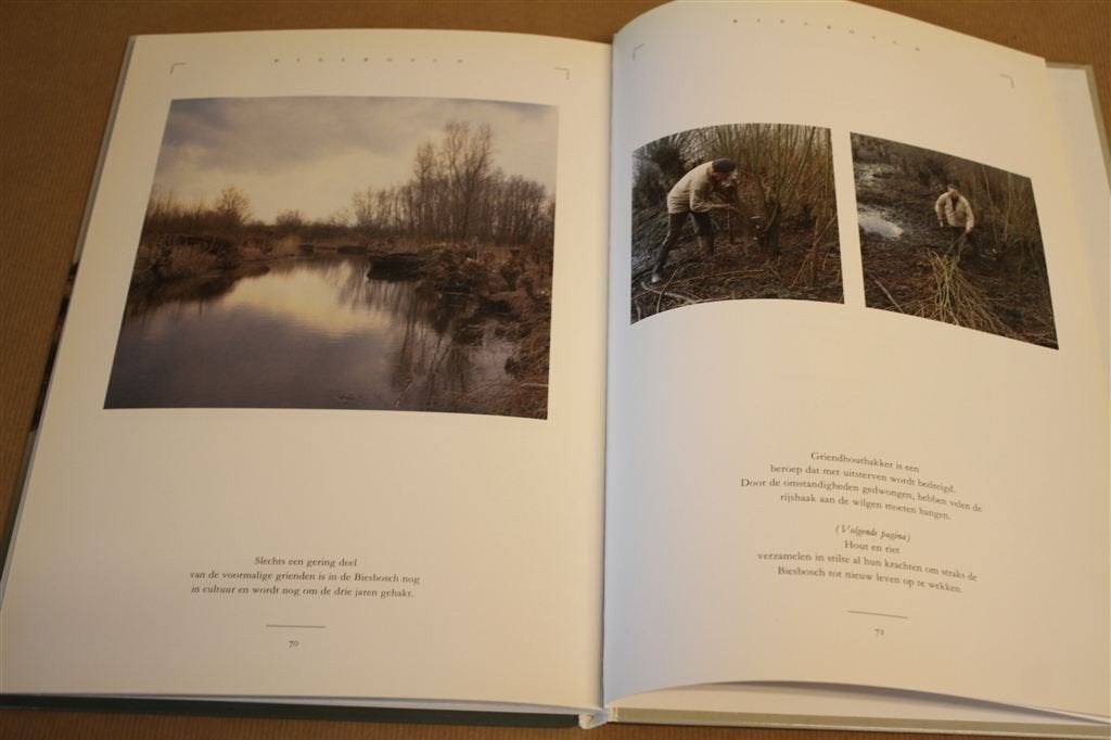 De Biesbosch in beeld. Foto\'s en tekst., Ophalen of Verzenden, Gelezen, Natuur algemeen