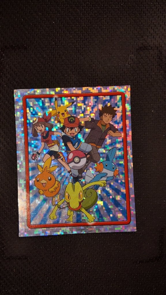 ash may brock treecko pikachu mudkip torchic 1  sticker | Po, Ophalen, Nieuw, Losse kaart