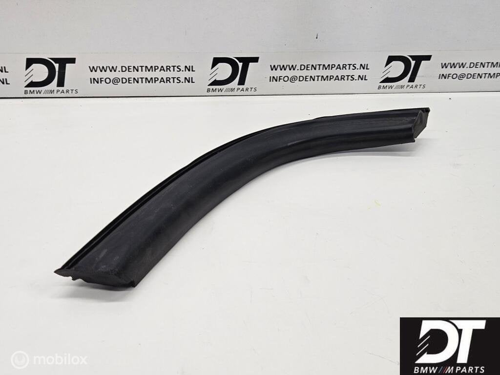 Raamgeleider rechts BMW Z4 E85 54317043898, Auto-onderdelen, Ruiten en Toebehoren, Gebruikt, Ophalen of Verzenden, BMW, BMW