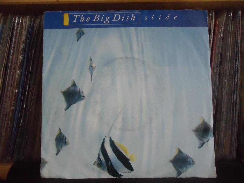 7" Single Big Dish - Slide / Reverend Killer, Ophalen of Verzenden, Gebruikt, Pop
