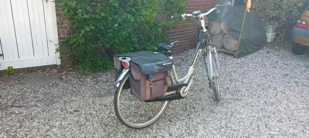 Giant Twist Go Double Power E-bike met 2 accu's, Fietsen en Brommers, Ophalen, Gebruikt, Velgrem, 47 tot 50 cm