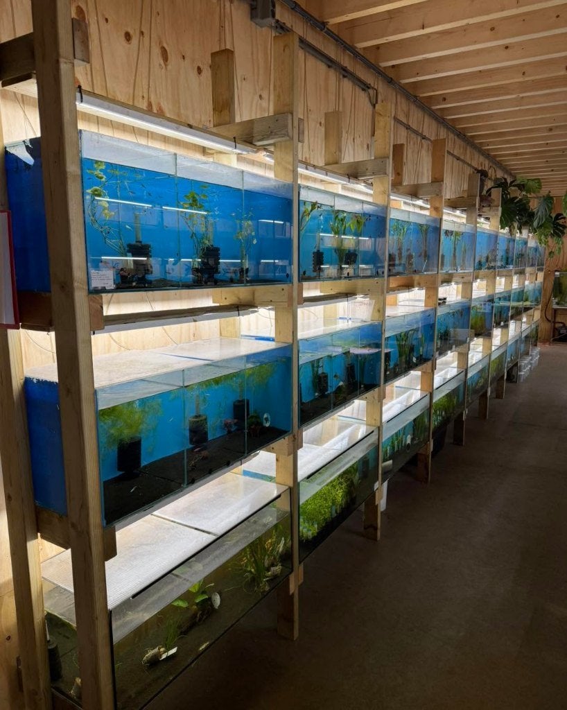 Aquarium, Terrarium & Vijver – Kom langs in onze winkel!, Ophalen, Nieuw, Overige typen