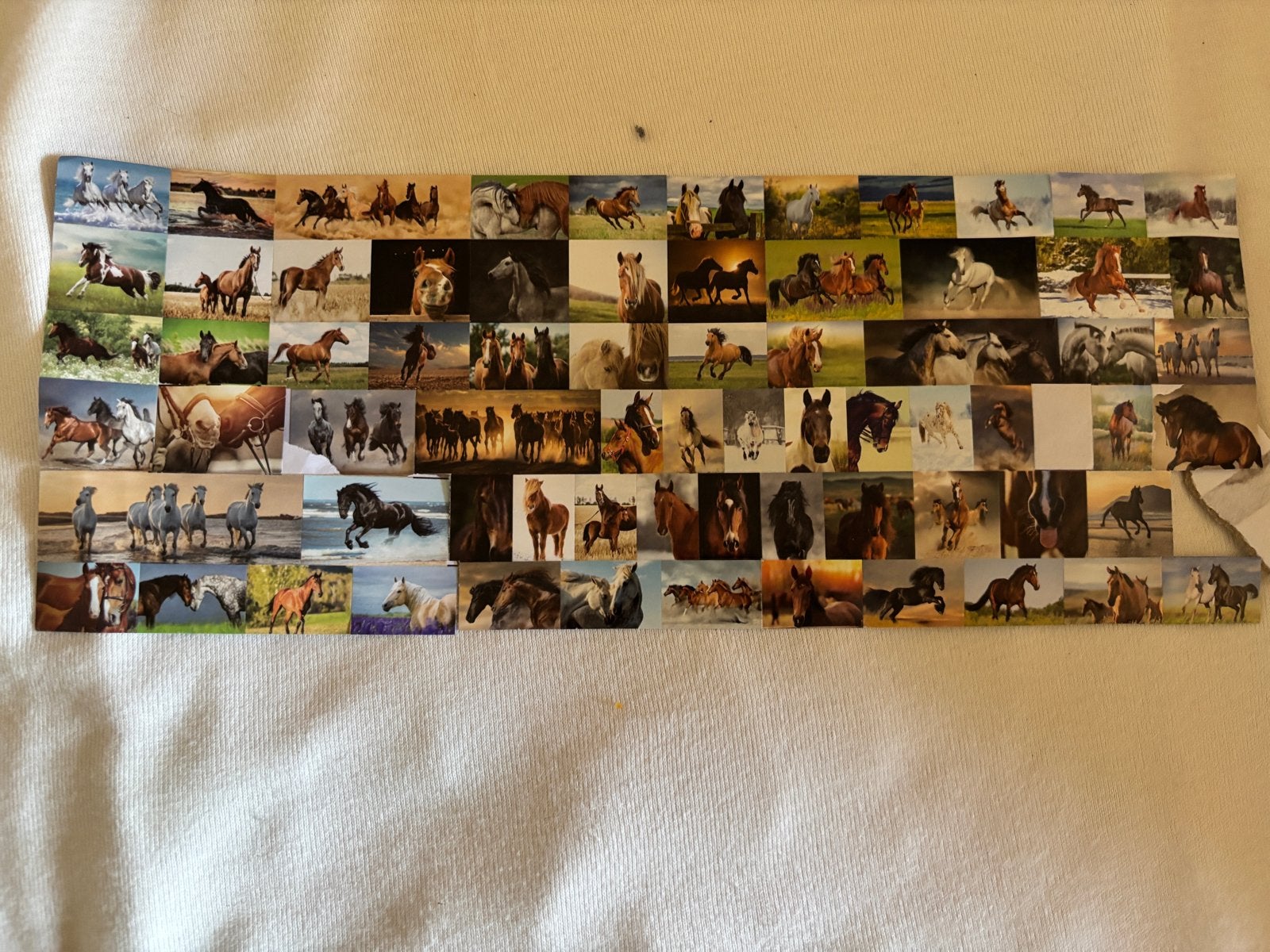 Mooie paarden stickers, Verzamelen, Ophalen of Verzenden, Gebruikt, Paard, Overige typen