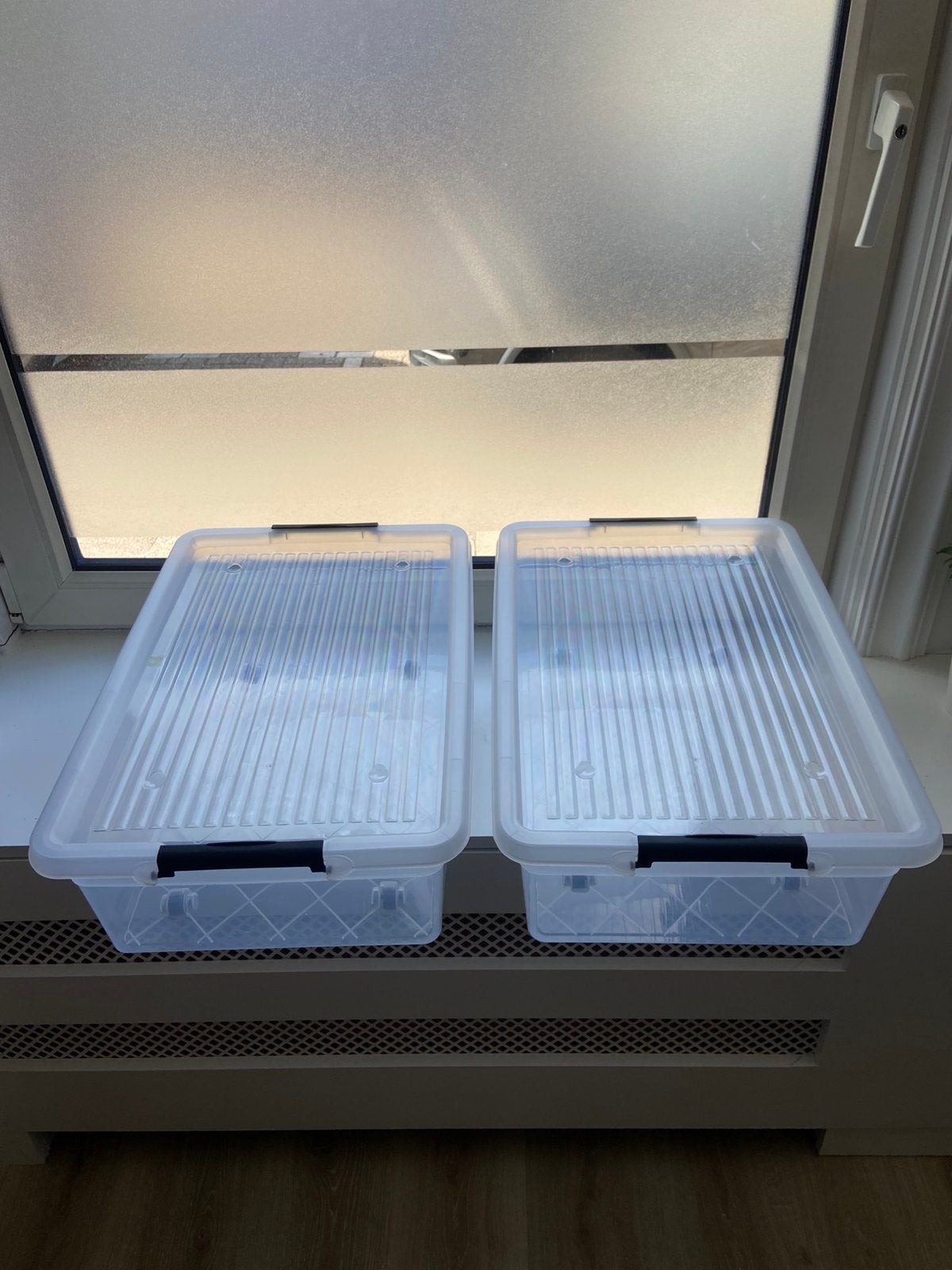 Nieuwe opbergbakken met deksels en wielen 59x39x18 cm, Doe-het-zelf en Verbouw, Kratten en Dozen, Ophalen, 50 tot 75 cm, Minder dan 40 cm